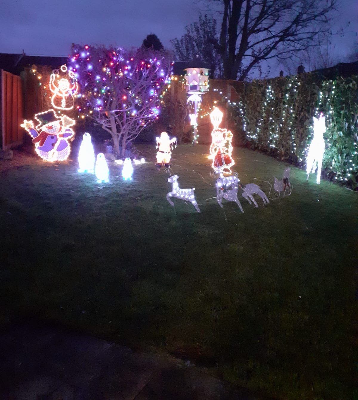 Christmas lights 2023